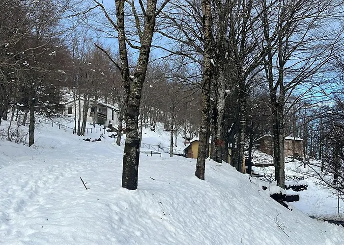 Casa Rioletta * Bolonia