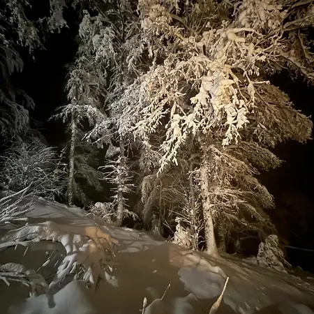 Casa vacanze Casa Rioletta *