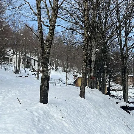 Casa Rioletta * Bologna